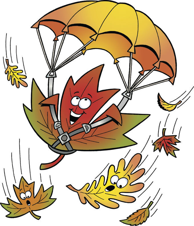 Leaves